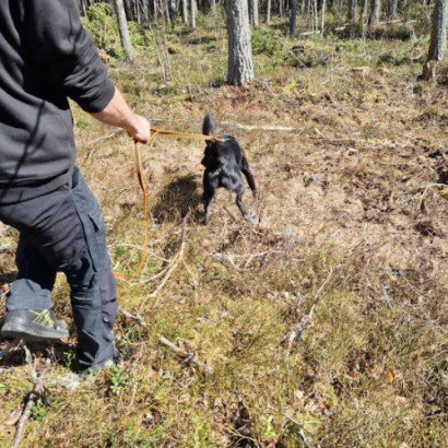 Spårlina med antiglid, hund och matte i natur